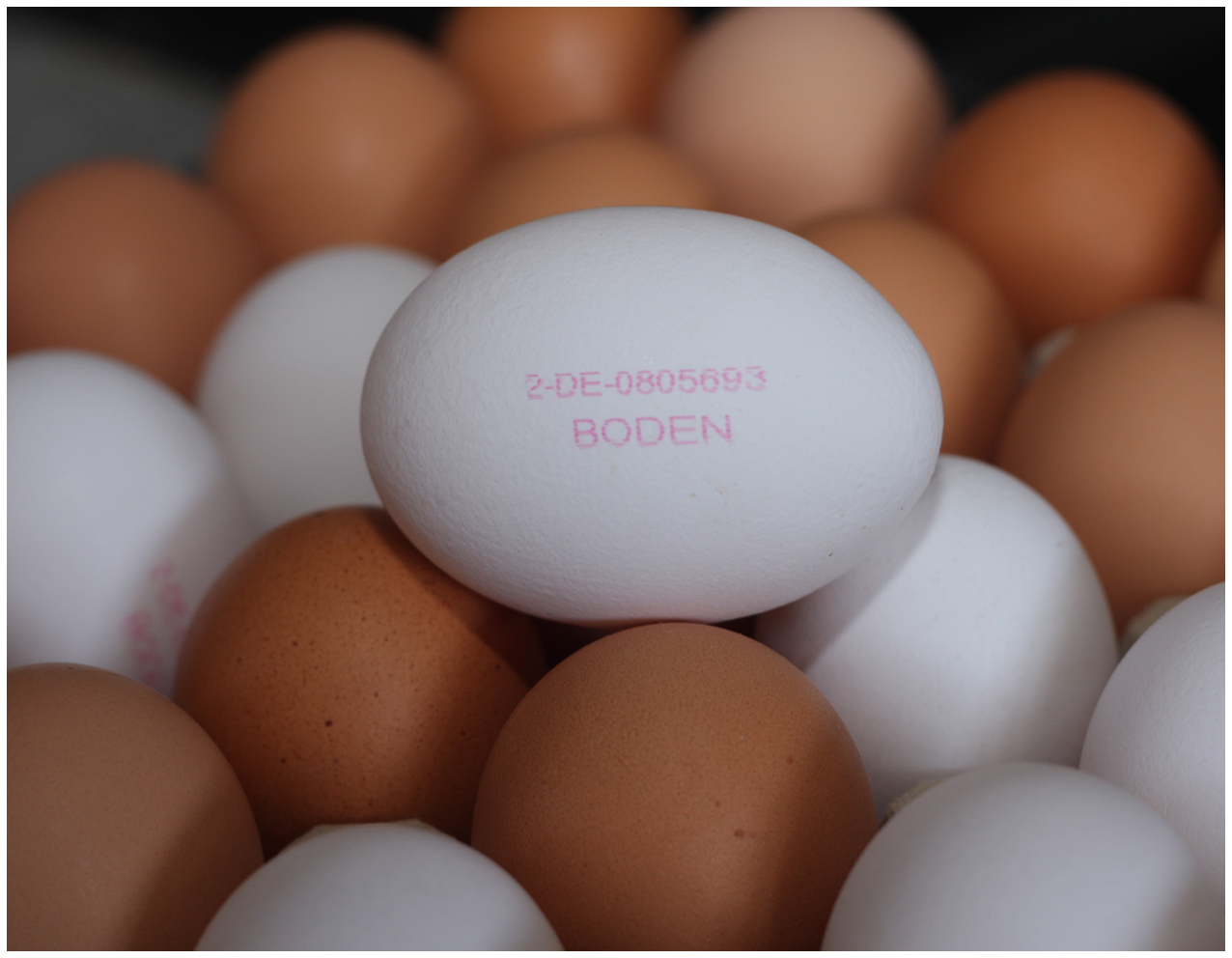 Eier-Kennzeichnung - Geflügelhof Breisch